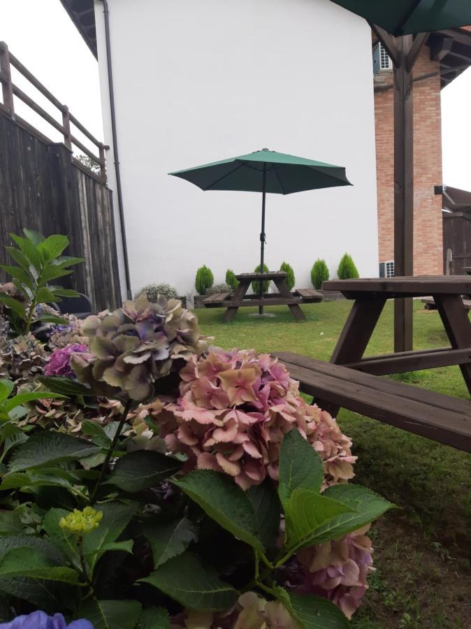 El Llanin Appartement