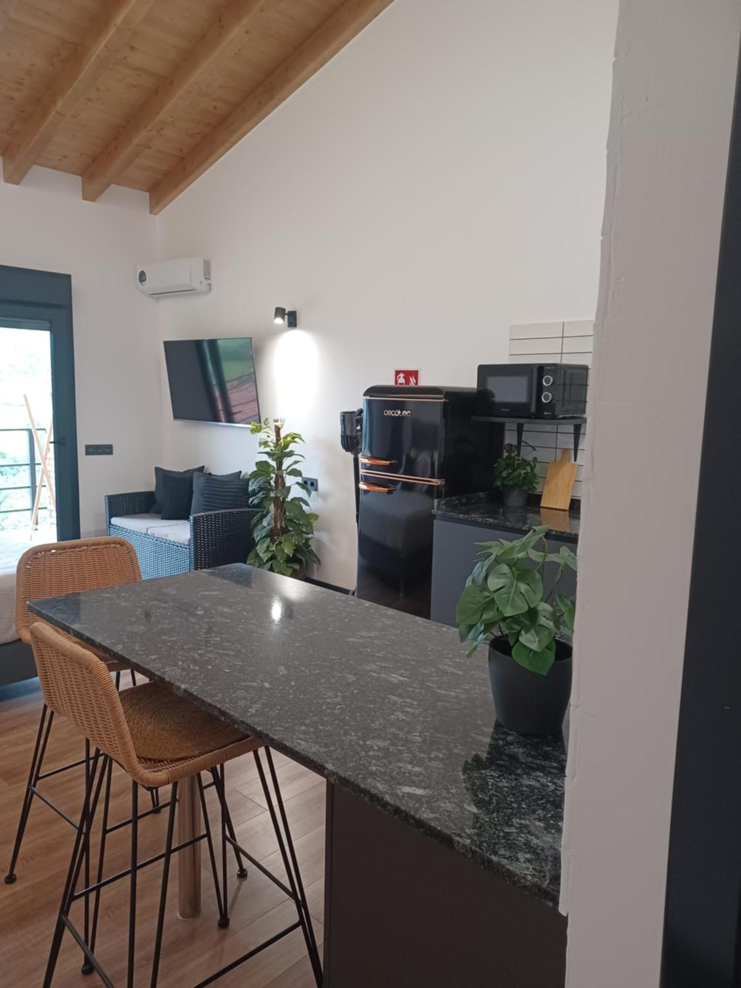 El Llanin Apartament
